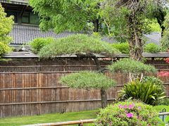 -新荣记(西溪湿地店)