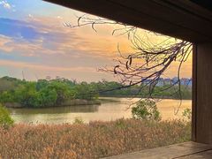 -华侨城湿地公园