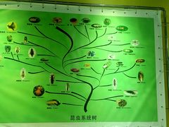 -上海昆虫博物馆