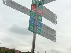 -新江湾城公园