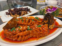 -金牌餐厅·天津菜·八珍豆腐·老爆三(瓷房子店)