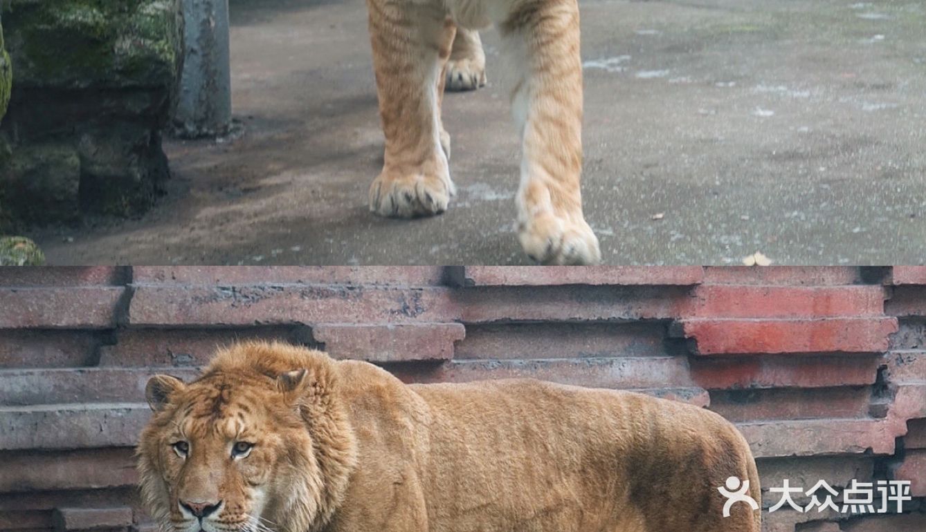 人生第一次 春游大作战