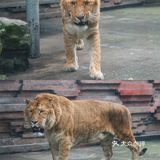 人生第一次 春游大作战