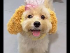 -钢五区节子串串香(环球汇·天誉店)