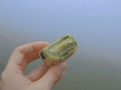 -大姆山草场
