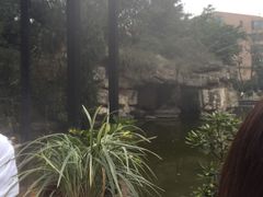 -鱼凫国都大酒店温泉