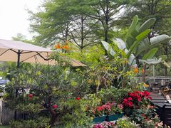 -山水茶艺馆·点心粤菜·30年老字号