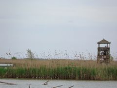 -盐城丹顶鹤湿地生态旅游区