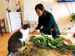 -猫音日语留学培训