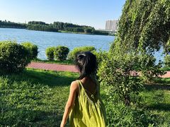 -丁香湖公园