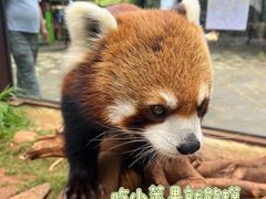 -云南野生动物园