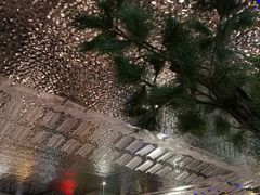 -松沪名灶·豆浆鱼头·新上海菜(飞航吾悦广场店)