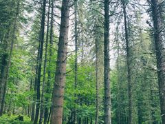 -硗碛藏寨·神木垒景区