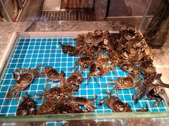 -一方渔歌蒸汽海鲜自助(文化路万达广场店)