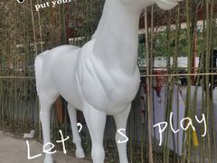 -向外鱼乐·土菜·虹鳟鱼