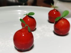 红酒樱桃鹅肝-天府掌柜(九眼桥店)