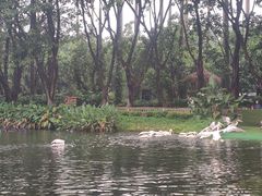 -广州长隆飞鸟乐园