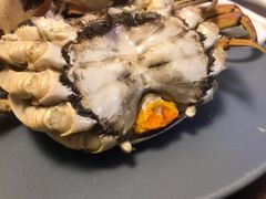 -黄记大闸蟹专卖店·活蟹·醉蟹