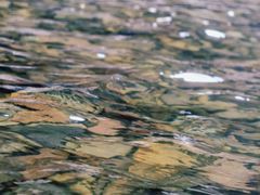 -安吉龙王山峡谷漂流