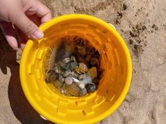 -巧克力渔家.小船海鲜胶东菜(万平口店)