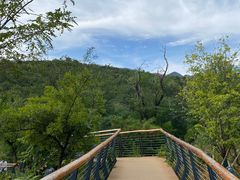 -白水寺森林公园