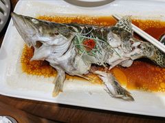-沈厅酒家(周庄店)