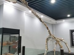 -游龙石文化科普馆