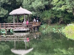 -上海滨江森林公园