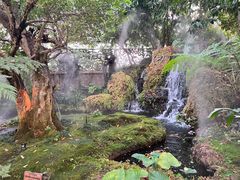 -Chom Cafe and Restaurant