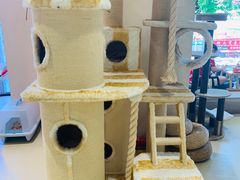 -藏猫猫咖啡主题馆(中央大道店)