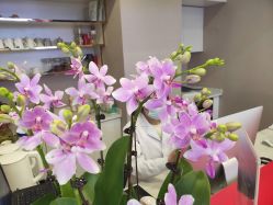 -郑荃丽格医疗美容