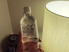 -神户美利坚公园东方大酒店