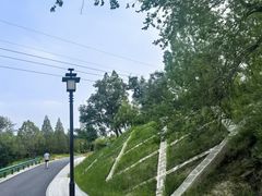-白水寺森林公园