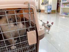 -美联众合动物医院·24h京西诊疗中心