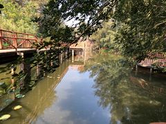 -玫瑰海岸文化旅游度假区