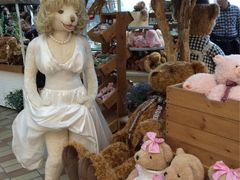 -济州岛泰迪熊博物馆