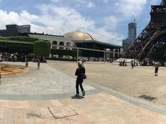 -银湖山郊野公园-相思林