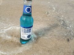 -日照海滨国家森林公园