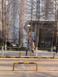 -AFA Hair studio·女士发型设计