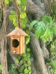 -花间禅净·瑜伽