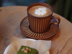 -自由生长植物工作室(深港花卉中心店)