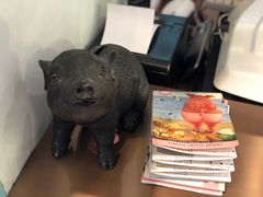 -WHEN PIGS FLY当猪飞