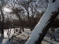 -北陵公园
