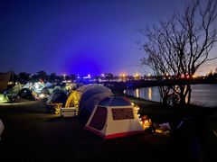 -春花秋色城市公园