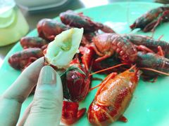 -靓靓蒸虾·头牌蒸虾(南山桂庙店)