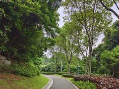 -玉树公园