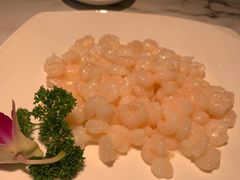 清炒河虾仁-花园茶楼(兴城西路店)