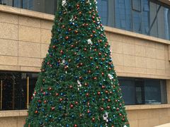 -舟山希尔顿酒店