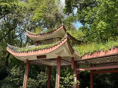 -南山植物园
