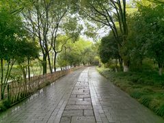 -西溪国家湿地公园